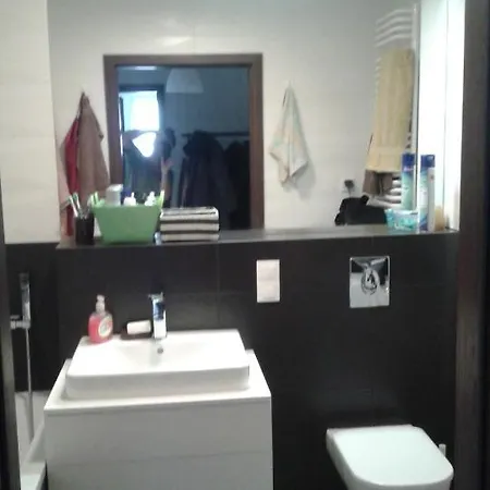 Atrakcyjny Z Duzym Ogrodem * グダニスク